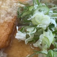 「どなんほんごう」でランチ