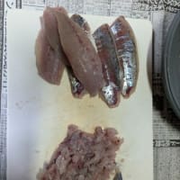 釣り場は、ゴミだらけ!?