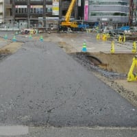 新潟駅にせきとりがやってきた