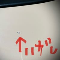 ギプス外れる