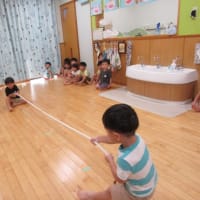 第4回綱引き大会！！！！！🐨