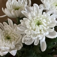 同級生のお父さんが亡くなったと聞いて…