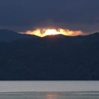 7月の水辺の風景
