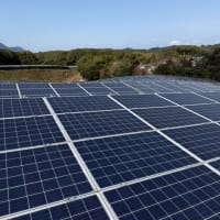 【九州全域対応】太陽光発電所・メガソーラーの草刈り・除草剤散布なら「便利屋タスケット」へ