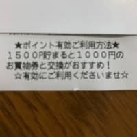 「ポイ活」していますか？