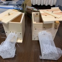 改良版、スズメバチ養蜂用の自作箱