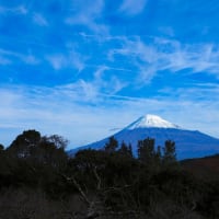 かりがね堤、岩本山　富士山