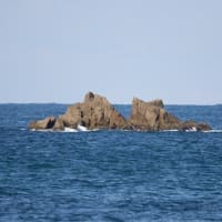 04/16旅日記：宗像大島の模様-4（岩瀬海岸、）