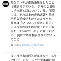 兵庫県異常問題　　　6月29日 （日）ひょうごデモ行進
