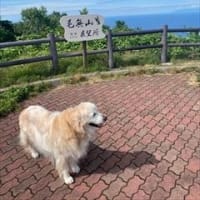 2024夏　12歳のゴールデンレトリバー　マハロの北海道旅行　Vol.5　～紋別から京都へ～