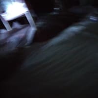 お世話になりました
