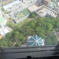 龍頭山公園「釜山タワー」＠釜山