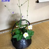9/17 茶道の日