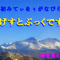 初みてぃ拝なびら