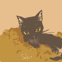 サキのこと10