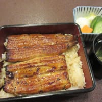 本日、7月19日は「土用丑の日」です～