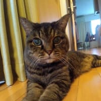 雀と一緒