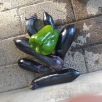 草の大群