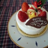 ルジャンドルのクリスマスケーキ（2009）