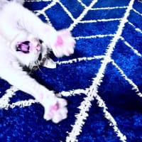 3月はこんな感じでした=(^.^)=
