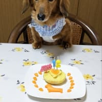 12歳お誕生日　ケーキでお祝い