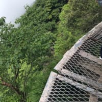2019年（令和元年）7月6日（土）石鎚山 土小屋拝殿〜頂上社