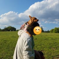 府中の森公園
