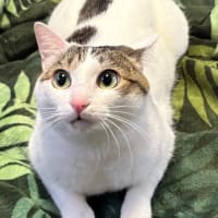 6月もメイちゃんは元気です😽