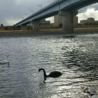 ＝＜徐々に消してゆく　ブログは。。。＞＝そして消えて行こう。