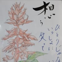 「命を守るために」