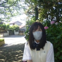 未払い(怒)未払い(怒)未払い(怒)未払い(怒)