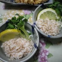 鶏薄切り肉の唐揚げ