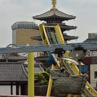 子供に返った夏の1日と、秘密の部屋❓　浅草で1