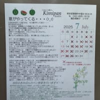 待ちに待った『マンゴーデニッシュ🥭』　& ７月の予定