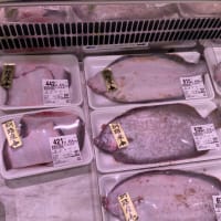 【北海道・釧路】スーパーの鮮魚コーナー / Fresh fishes in Hokkaido