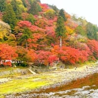 紅葉見頃の香嵐渓に行ってきました。