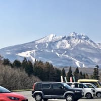 妙高の桜と小屋の畑