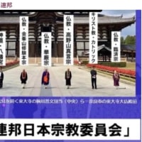 ーーー8時当確ーーーは不正選挙大成功‼️の仲間へのサインだよね😱【兵庫県知事選挙】　2024/11/18