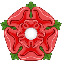 ーーー8時当確ーーーは不正選挙大成功‼️の仲間へのサインだよね😱【兵庫県知事選挙】　2024/11/18