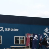 増毛