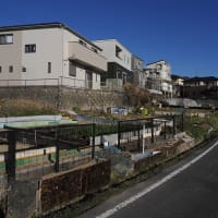 ❷お写んぽ　3/17