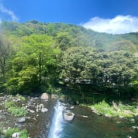 箱根の5月の新緑がキレイ！青空と山の緑とキラキラした川面のコントラストが最高です！