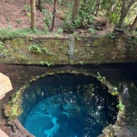大人ふたり旅②水場巡り沼津〜長泉・御殿場