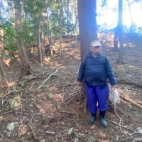 中臣伊香氏の墓制の一考察