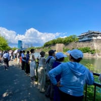 冥途の土産にブルーインパルス