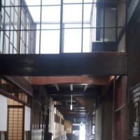 新たな出会いを求めて❗富山の旅。前編