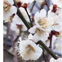 今日いち-2025年2月27日