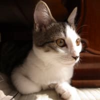 久々だけど