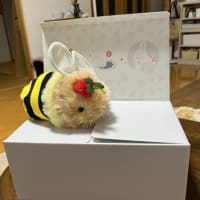 こんしゅーまつはデンパークさまへ！