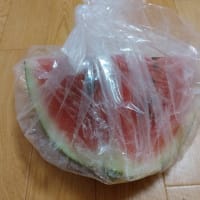 【デカっ！】スイカ